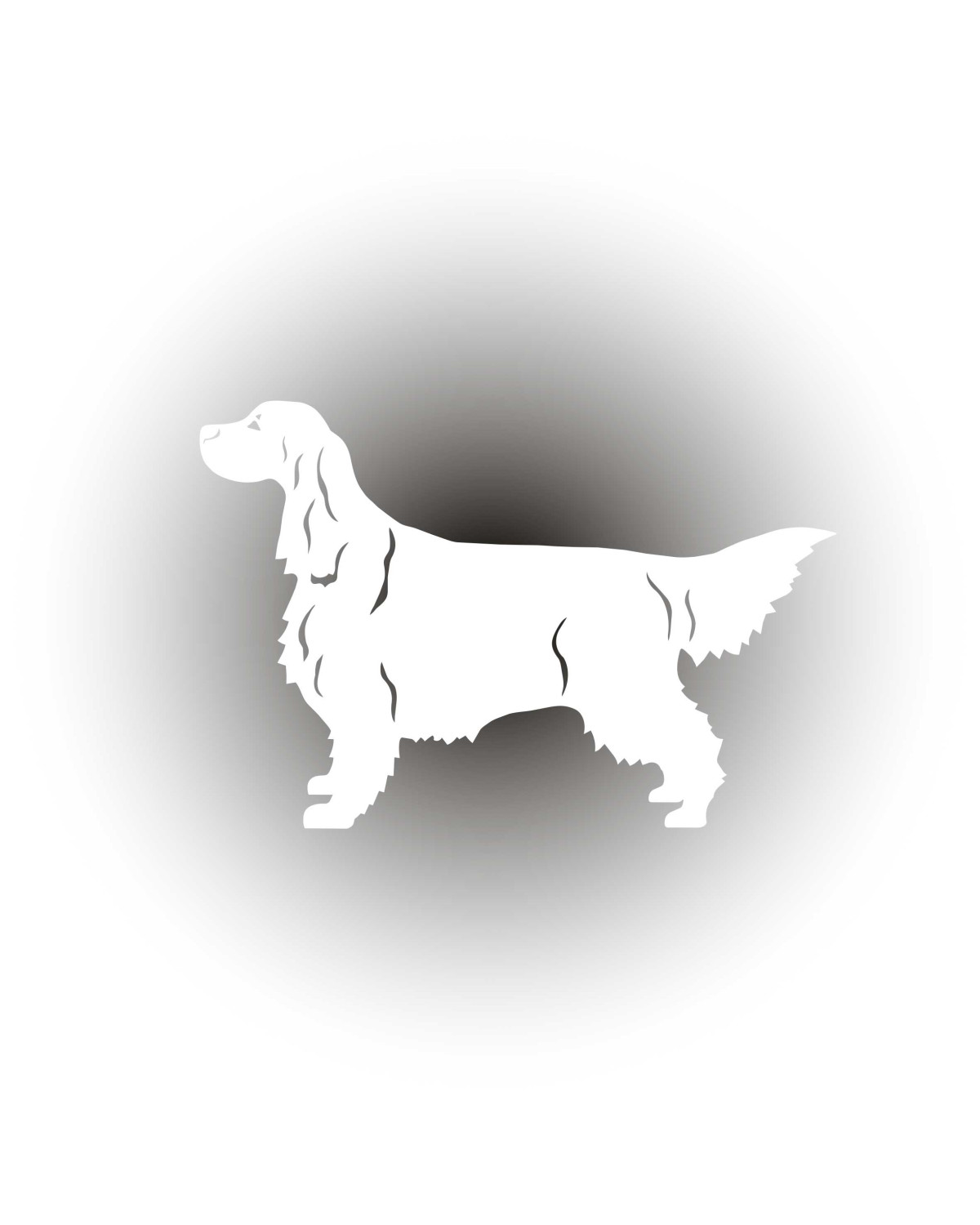 Gordon on a Walk – White Car Sticker | Setter Label