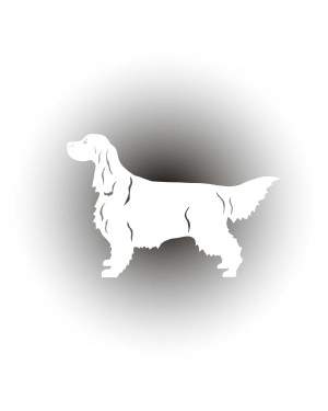 Gordon on a Walk – White Car Sticker | Setter Label