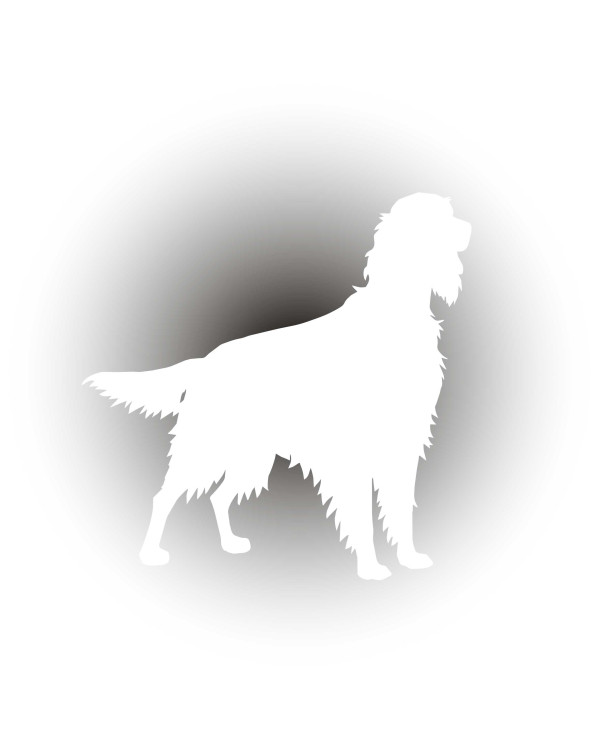 Setter on Watch – White Car Sticker | Setter Label