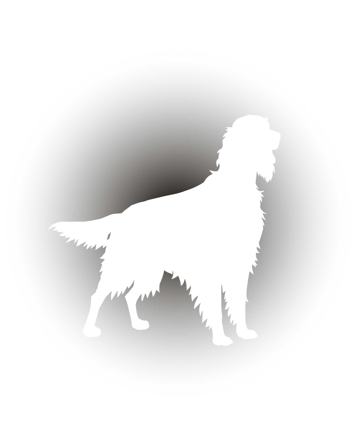 Setter on Watch – White Car Sticker | Setter Label