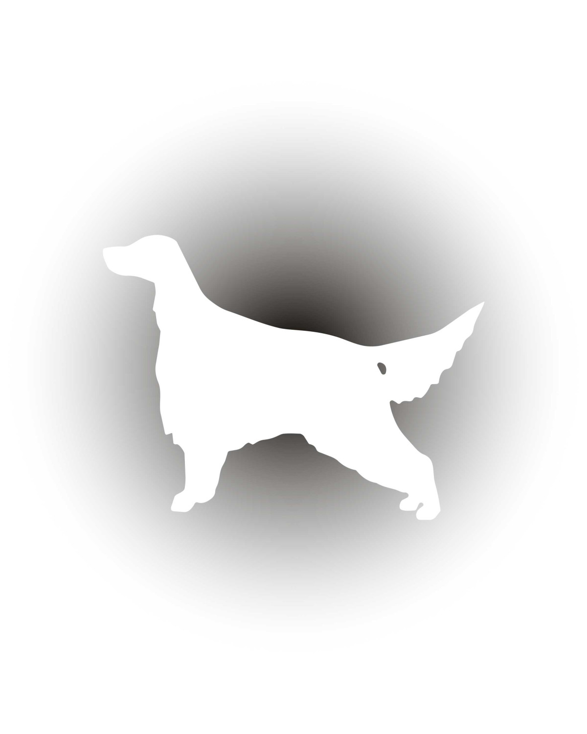 Seter dostojnie – biała naklejka | Setter Label