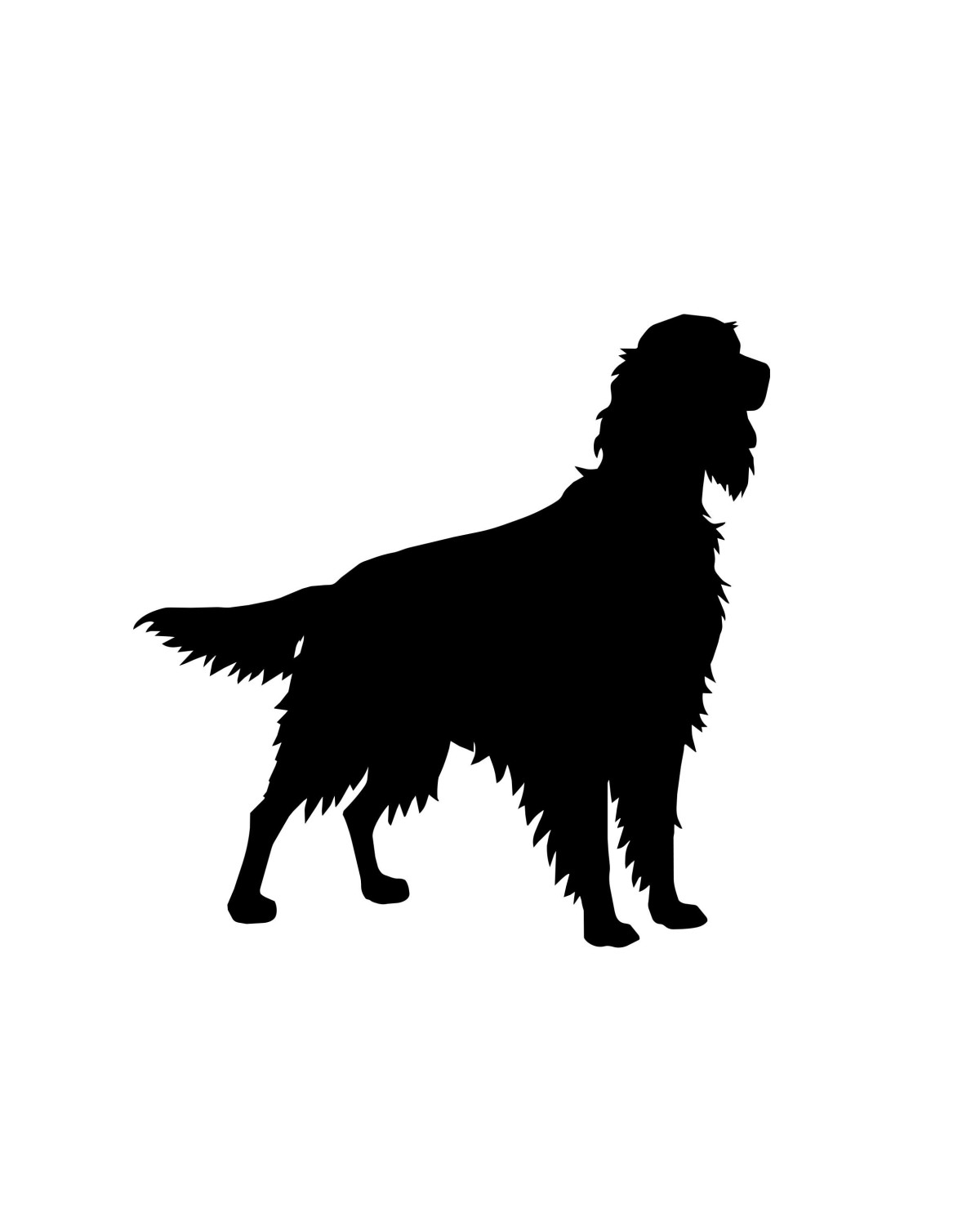 Setter on Watch – Black Car Sticker | Setter Label