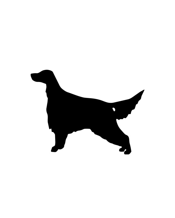 Seter dostojnie – czarna naklejka | Setter Label